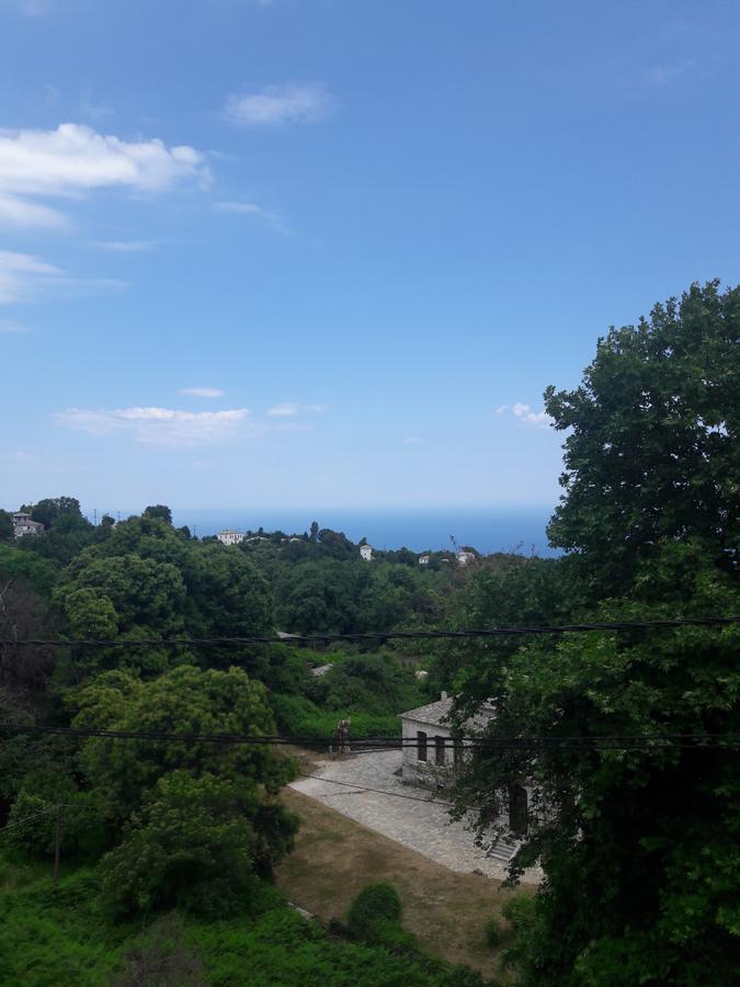 Αρχοντικό Κονάκι- Konaki Pelion تساغارادا المظهر الخارجي الصورة